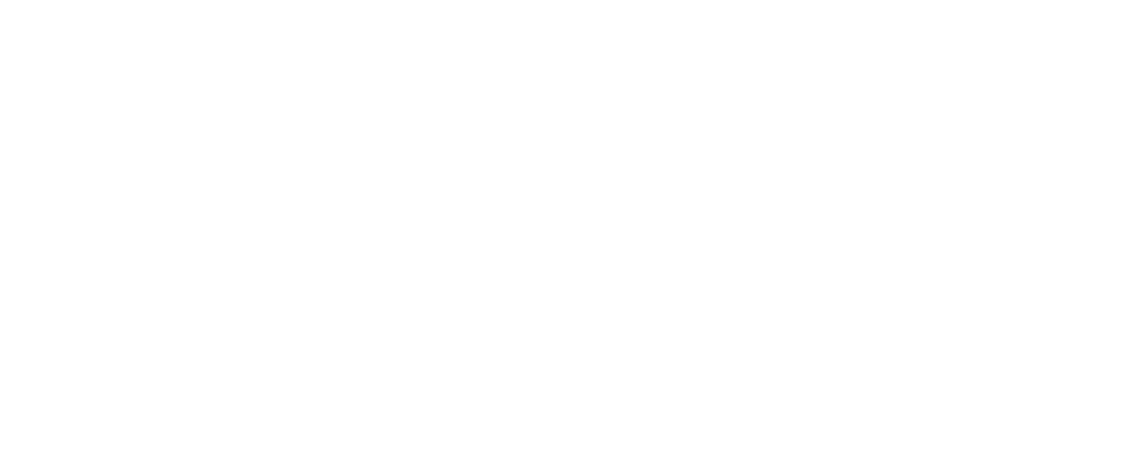 Loons Partnership Ffg Horizontal White